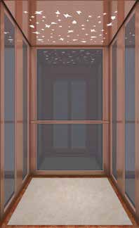 Glass / Panoramic Elevator